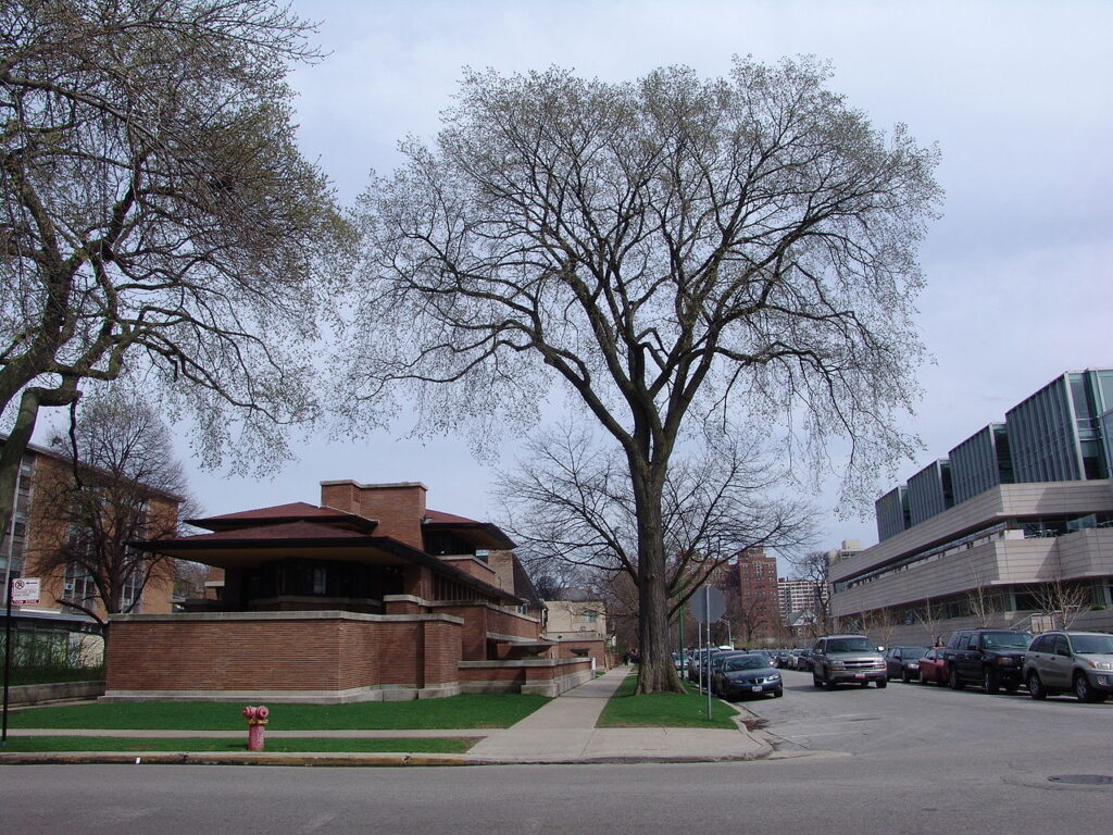 Stergios Papadakis | Ο αρχιτέκτονας Frank Lloyd Wright (Robie house) Stergios Papadakis | Ο αρχιτέκτονας Frank Lloyd Wright (Robie house)