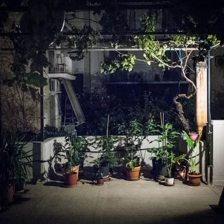 Stergios-Papadakis-Campi-Da-Sogno-18