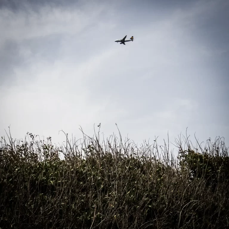 Stergios-Papadakis-Campi-Da-Sogno-19