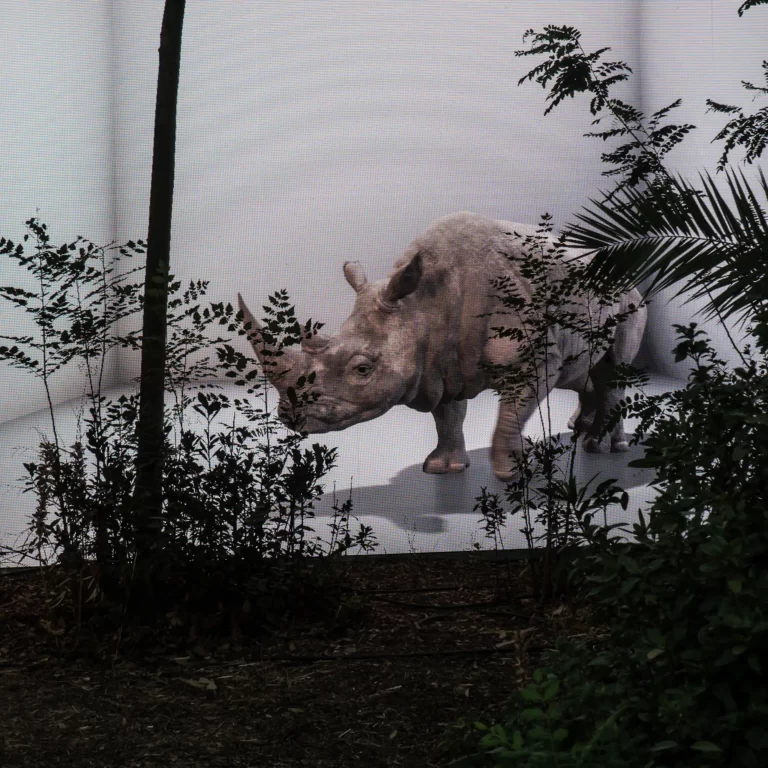 Stergios-Papadakis-Campi-Da-Sogno-29