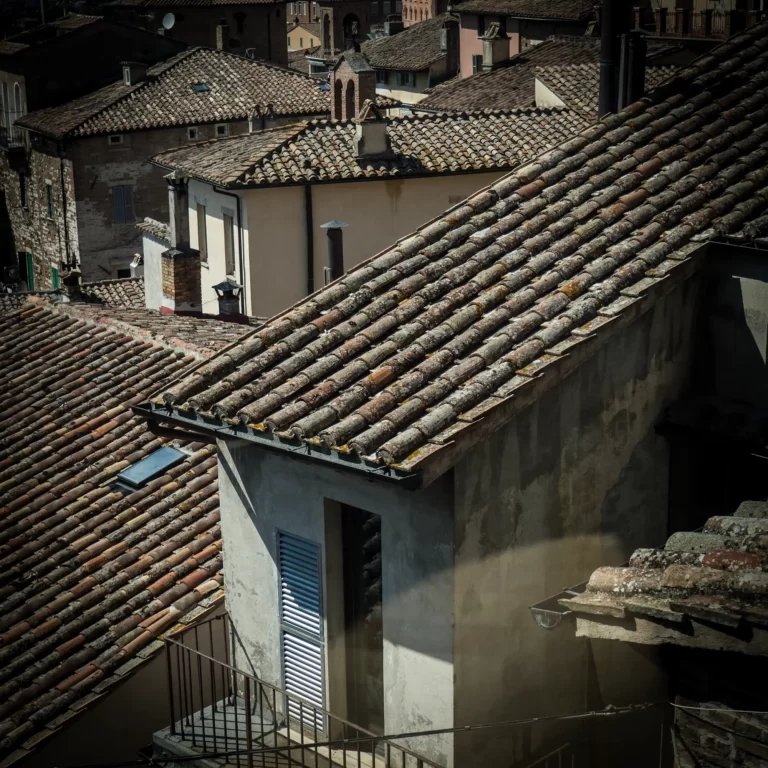 Stergios-Papadakis-Campi-Da-Sogno-35