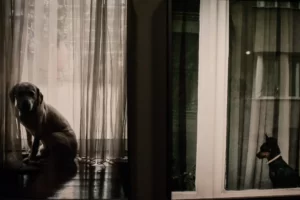 Stergios Papadakis | Exhibition Stergios Papadakis | Exhibition