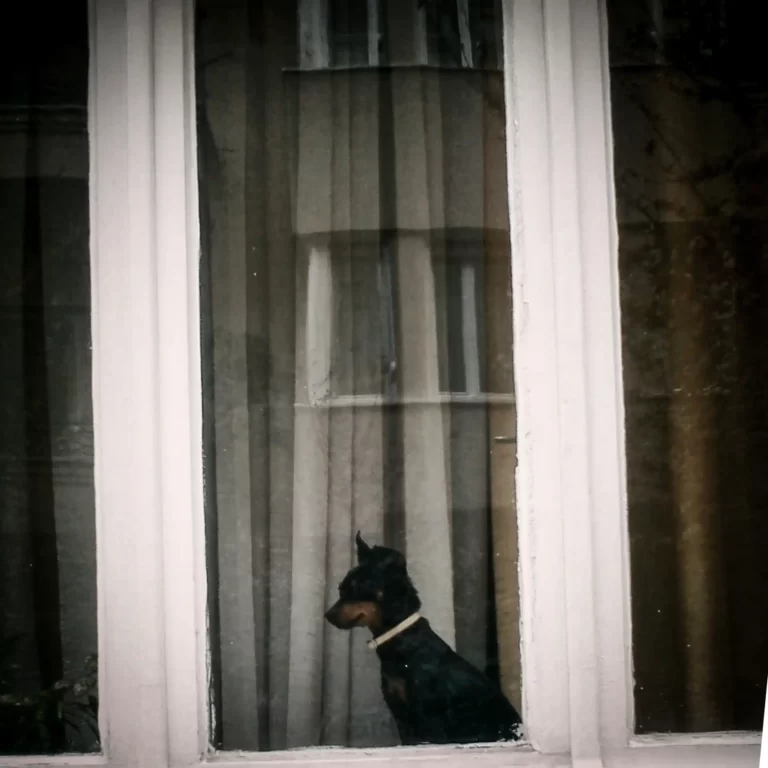 Stergios-Papadakis-In-Un-Modo-Strano-11-2