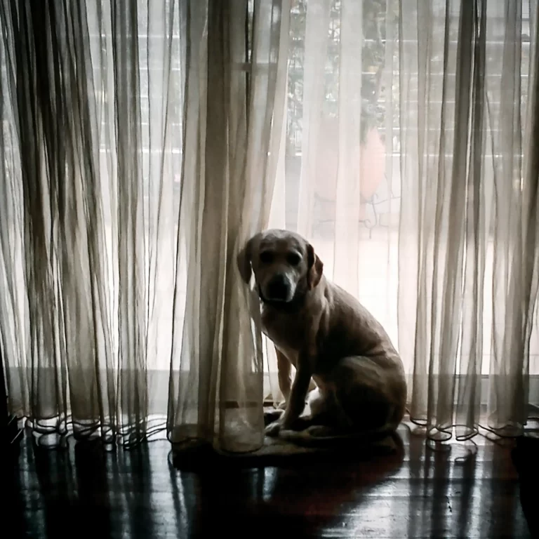 Stergios-Papadakis-In-Un-Modo-Strano-12-2