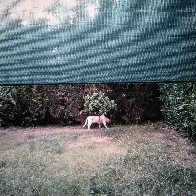 Stergios-Papadakis-In-Un-Modo-Strano-13-2