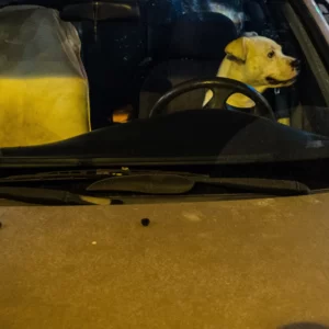 Stergios Papadakis | la lunga storia della strada